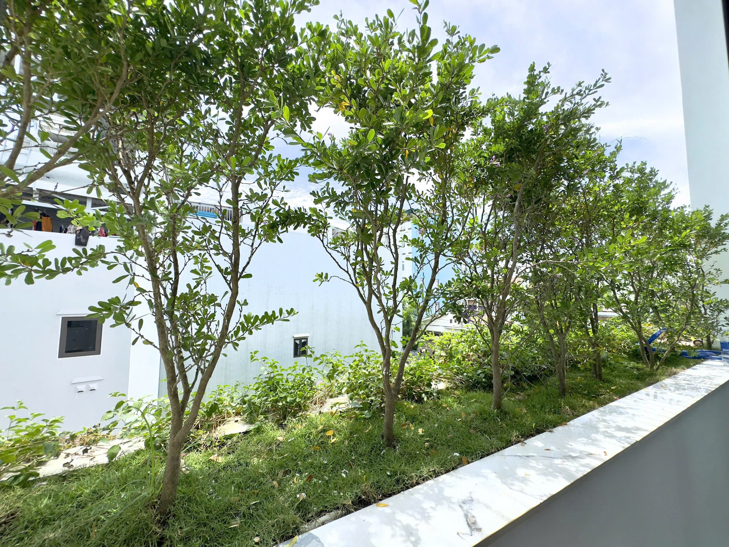 🏡 남비엣아 3층 단독주택 임대 상가 임대 사진 6 |
