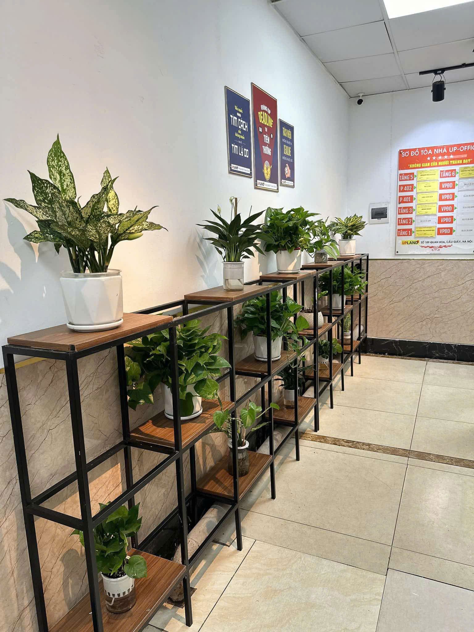 Cầu Giấy 2 ảnh