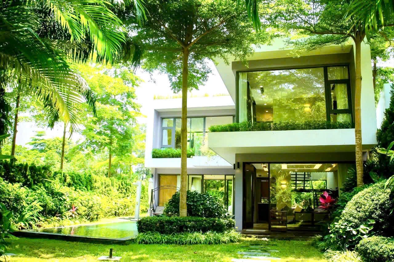 Khu vực khác / cần kiểm tra 3 ảnh