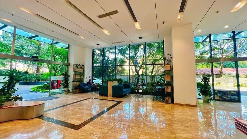 Khu vực khác / cần kiểm tra 4 ảnh