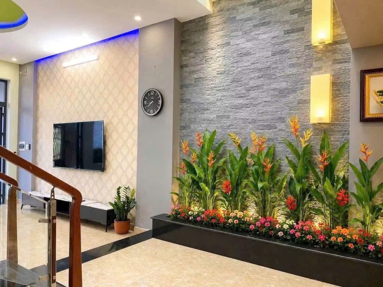 Khu vực khác / cần kiểm tra 4 ảnh