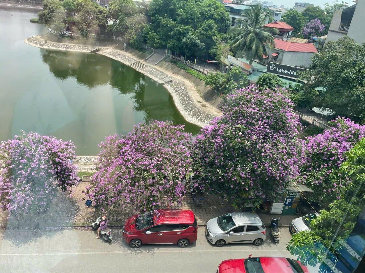 Thanh Xuan 7 photo